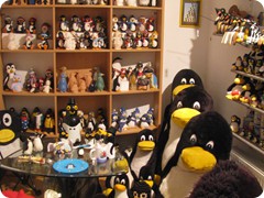 im Pinguinmuseum
